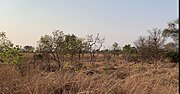 Thumbnail for Kafue National Park