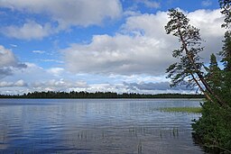 Kallokkajärvi sedd från sydväst.