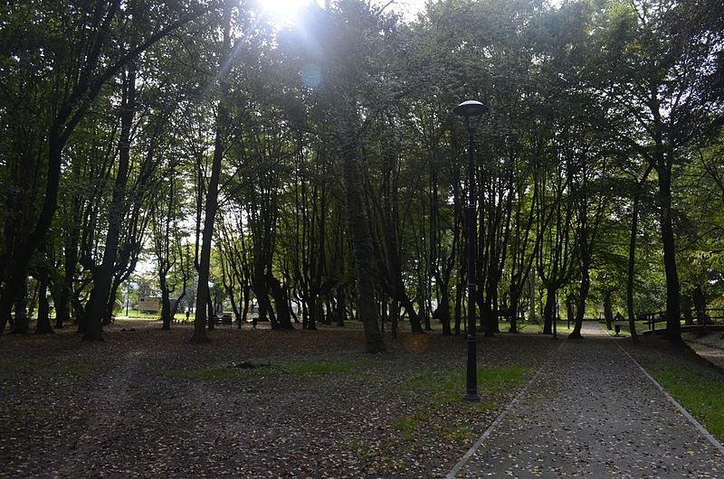 File:Kargowa, park przy pałacu (6).JPG