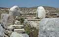 Colossus in Delos