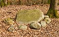 * Nomination Memorial stone at stadholders' pit. Location: Kroondomein Het Loo. --Agnes Monkelbaan 05:39, 14 March 2021 (UTC) * Promotion  Support Good quality -- Johann Jaritz 05:43, 14 March 2021 (UTC)