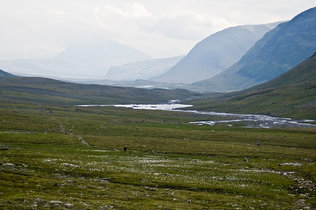 Kungsleden