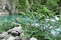 Français : La Sorgue le 31 mai 2008 avec 1,53 mètres de hauteur, La Fontaine de Vaucluse.