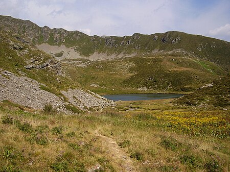 Lagotrote