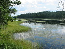 Arimaajärveä Somerniemellä elokuussa 2009