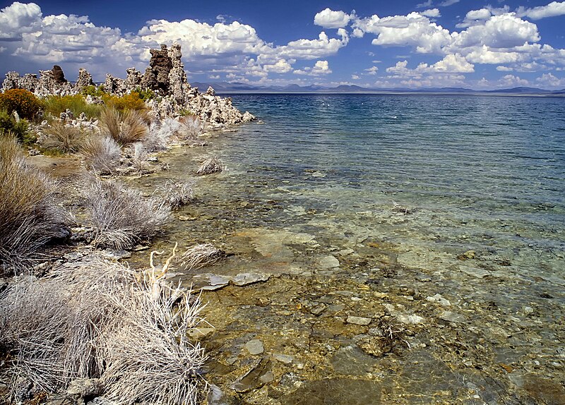 File:Lakeside of Mono Lake derivative.jpg