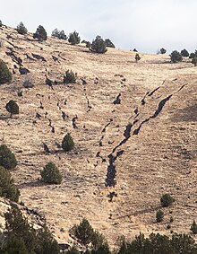 Stone stripes on Catlow Rim in Oregon Lava Stringer 5.jpg