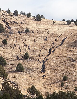 <span class="mw-page-title-main">Stone stripe</span> Type of rock formation