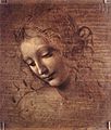 Leonardo da Vinci - Female head (La Scapigliata) - WGA12716.jpg