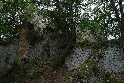 Ouverture de porte Lespugue (31350)