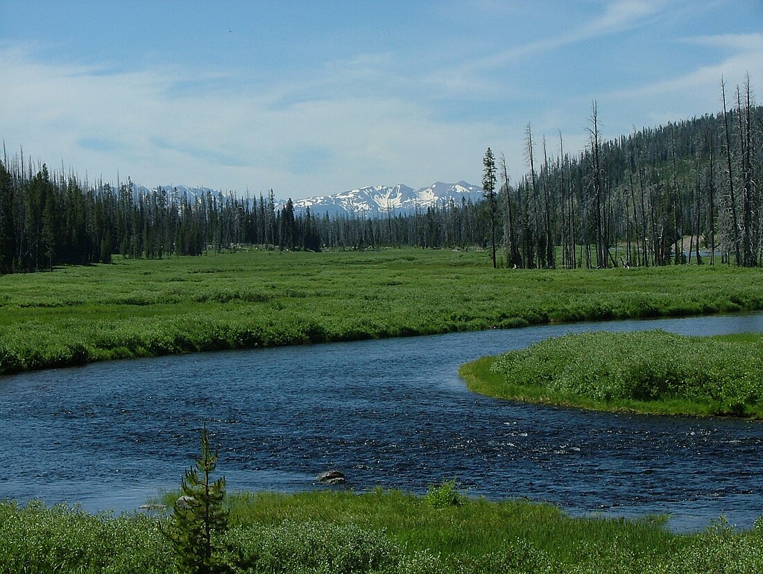 Lewis River (Wyoming)