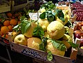 Huge lemon of Sorrento and Amalfi Coast