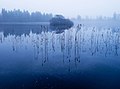 wikimedia_commons=File:Loch Heron - geograph.org.uk - 1111244.jpg