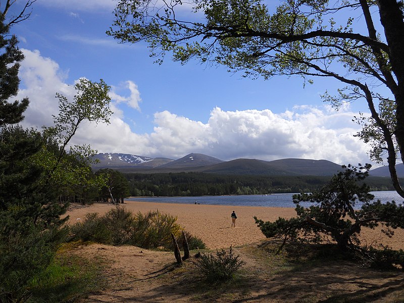 File:Loch Morlich's sight toward Cairn on summer - panoramio.jpg