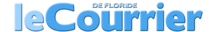 Логотип курьер DF.png