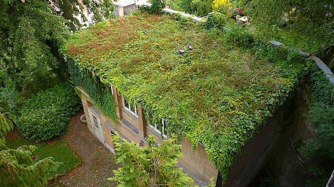 Grass covered roof, Switzerland