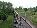 zugewachsene Gleise auf der linken Flussseite