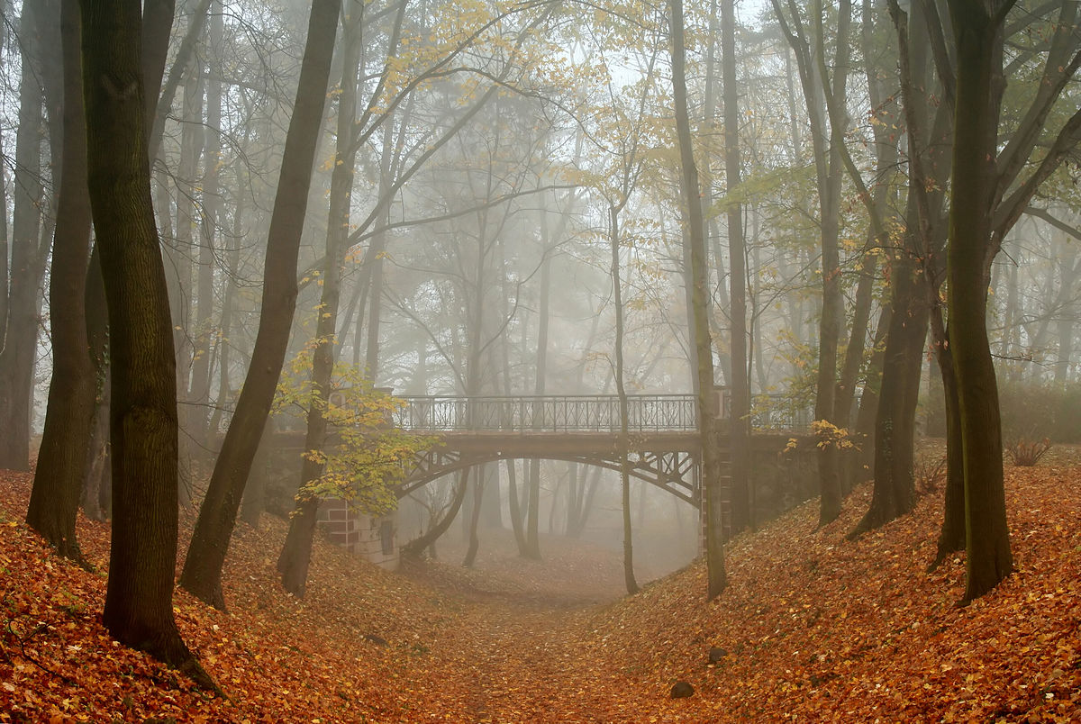 A bridge in the spa park of Bílina, Teplice District, northern Bohemia. Photograph: Daniela Endrštová Licensing: cc-by-sa-4.0