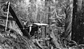 Man operating heavy equipment, unidentified Bloedel-Donovan lumber operation, April 19, 1924 (INDOCC 1294).jpg