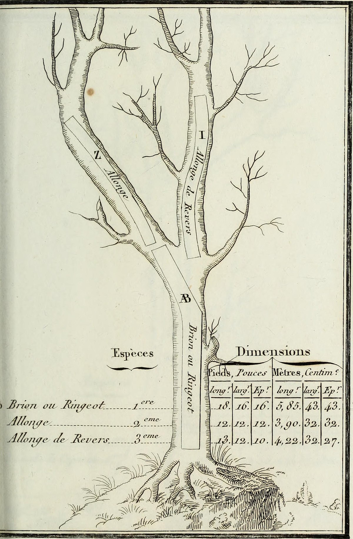 Location Arche à poteaux en bois, Landes et Pyrénéens Atlantiques