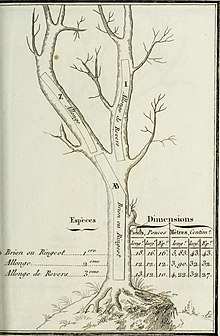 Traitements conservateurs des bois — Wikipédia