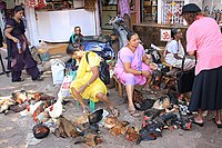 Chicken sellers