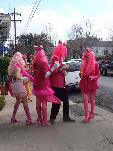 File:Mardi Gras 2008 - Brad Pitt's Pink Houses Come to Life.jpg