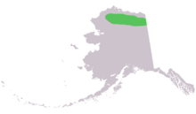 Marmota broweri range in ak.png