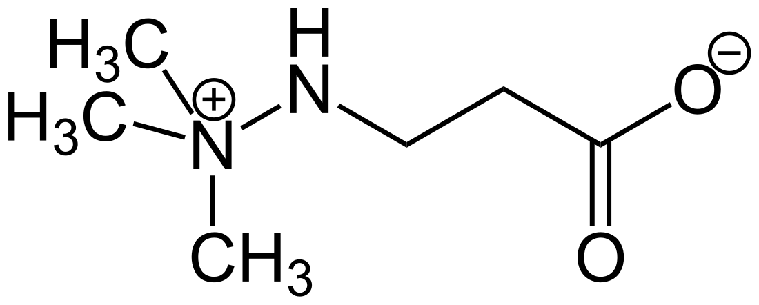 File:Meldonium Structural Formula V1.svg