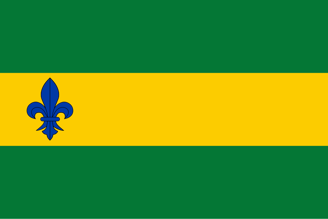 Vlag van Menterwolde