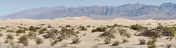 R1 vote count: 156 Mesquite Flat Sand Dunes Panorama Morning 2013.jpg