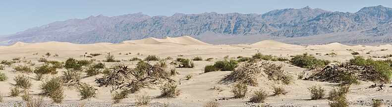 Sand dunes at Mesquite Flat