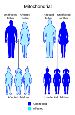 Thumbnail for Neuropathy, ataxia, and retinitis pigmentosa