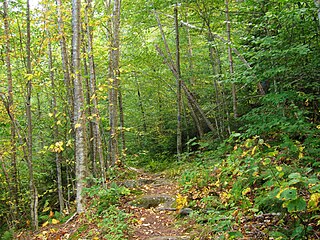 <span class="mw-page-title-main">Mount Ascutney State Park</span> State park in Windsor County, Vermont