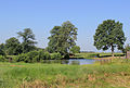 Čeština: Rybník v Mrákoticích, části města Sedlec-Prčice English: Pond in Mrákotice, part of Sedlec-Prčice, Czech Republic.