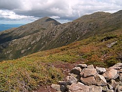 Alpine Tundra: Plants, Animals, Name