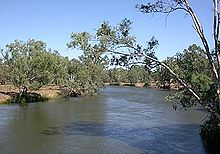 A branch of the Murray River, near Howlong, New South Wales.