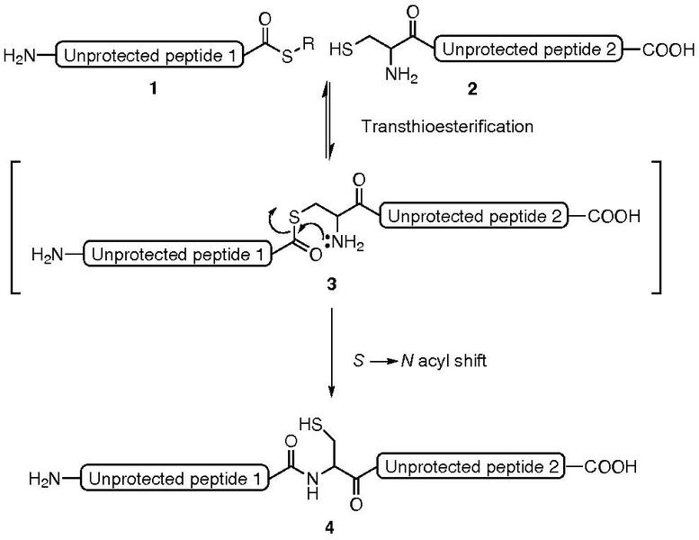 File:NCL mechanism.pdf