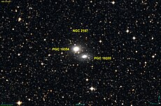 NGC 2187 DSS.jpg