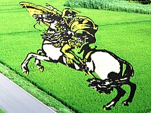 Napoleon of rice field art.JPG