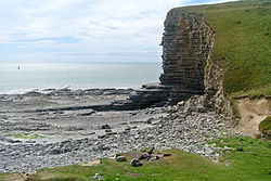 Nash Point