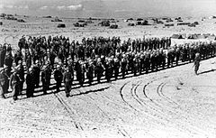 Negev Brigade prior to Operation Horev