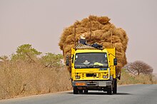 Haymaking in Hamdallaye Niger, Hamdallaye, truck with hay.jpg
