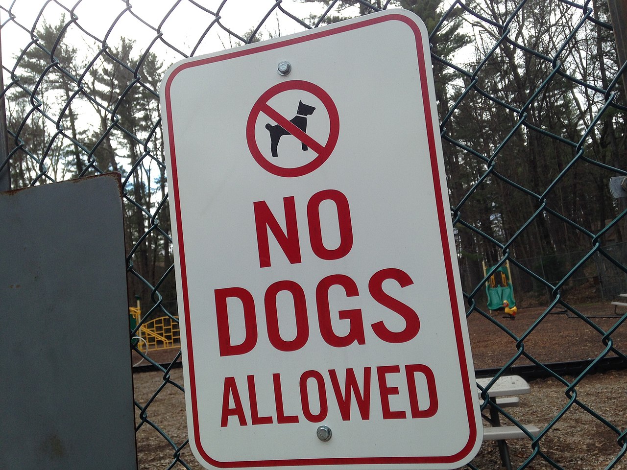 File No Dogs Allowed Sign Jpg Wikimedia Commons