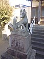 Detail view of the left fox guardian of the shrine Aratama Inari Jinja in Numazu with kit