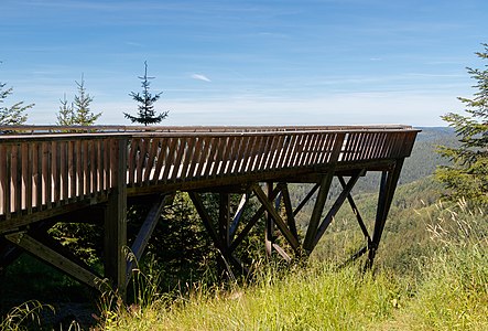 Observation platform Ellbachseeblick Kniebis Germany