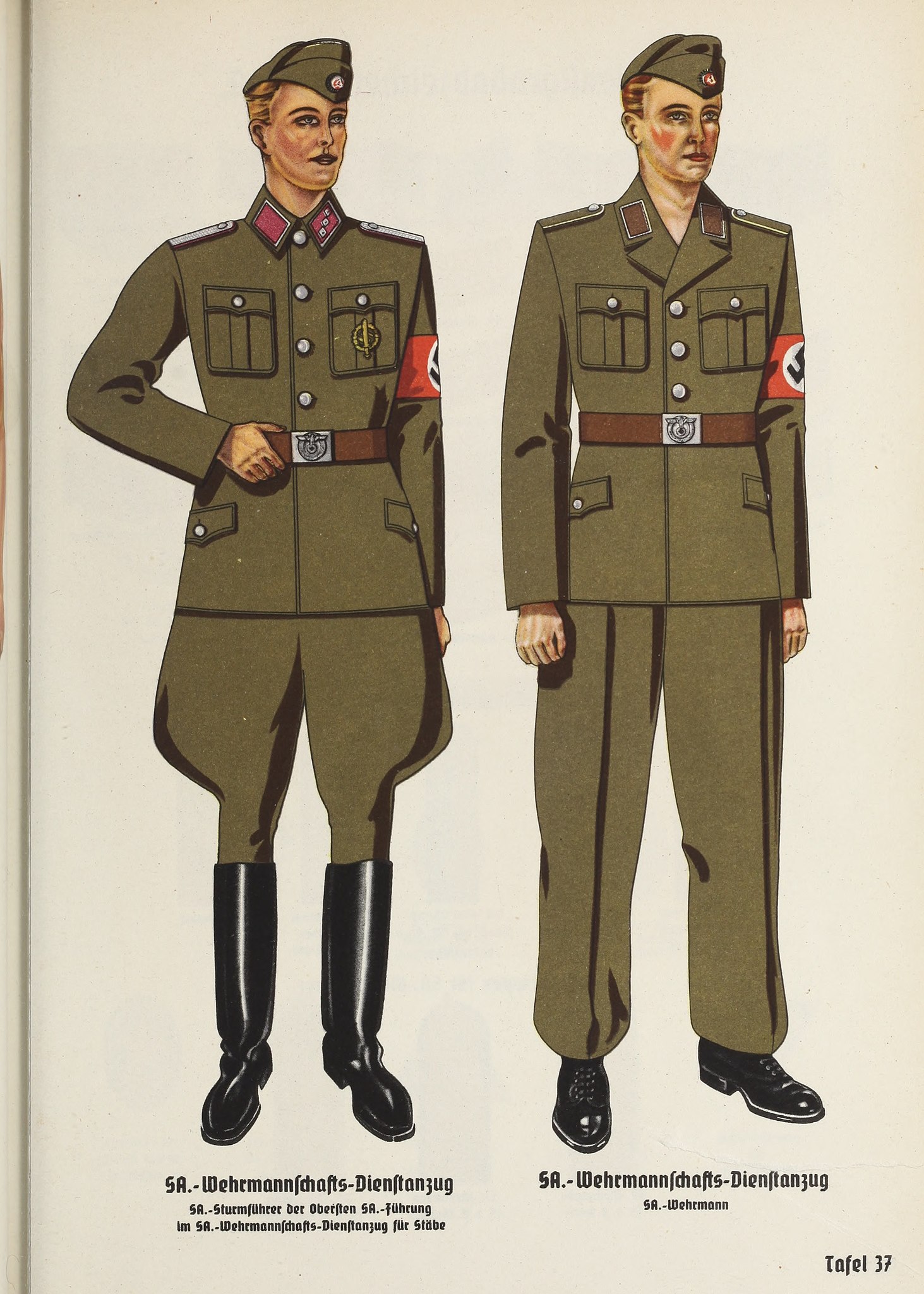 通販卸売り 学術書 Uniforms of the NSDAP | yukkirimin.com