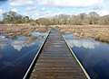 Passerelle dans le marais de Mousterlin inondé (févier 2014)