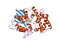 Minijatura za Regulator G protein signalizacije