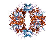 PDB 1uhv EBI.jpg